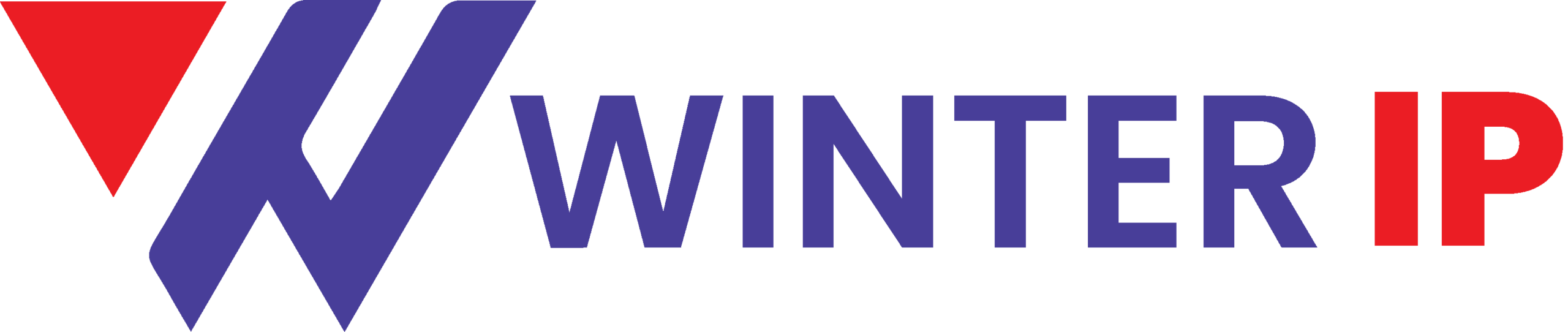Winter IP Law Firm