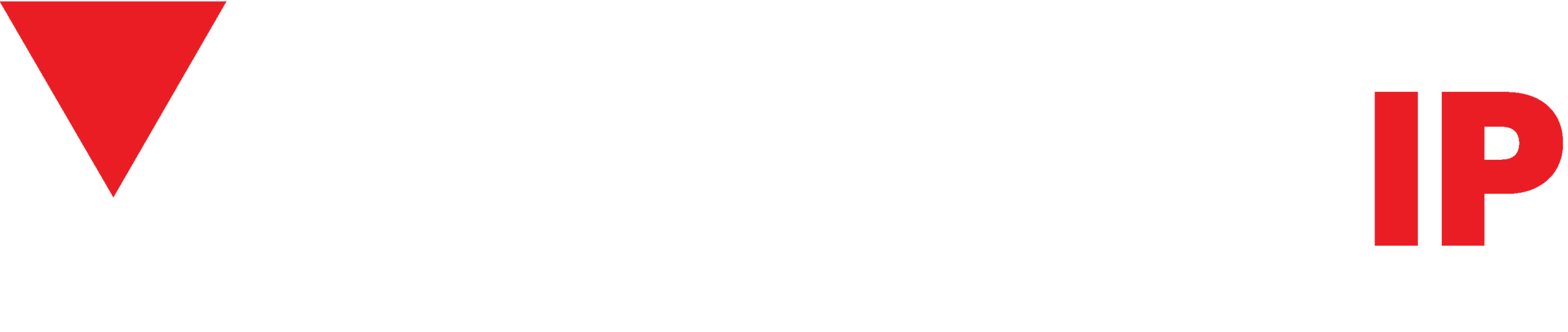 Winter IP Law Firm